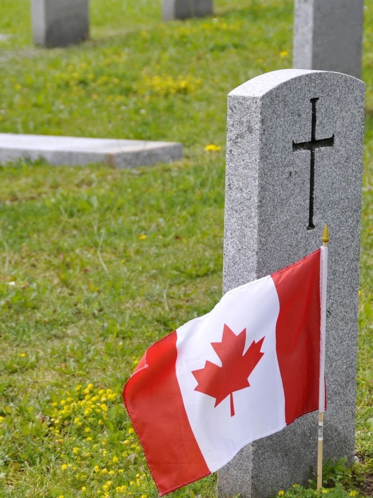 Military Museum Rememberance day